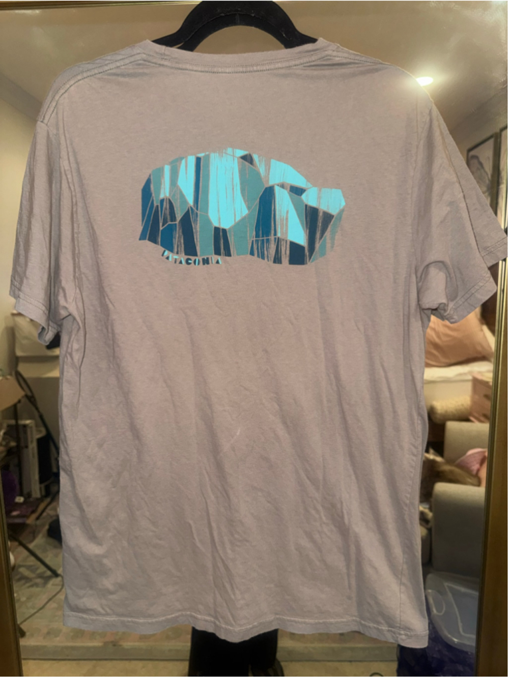 Men's Patagonia Short Sleeve Graphic Tee, Size L, Grey and Blue